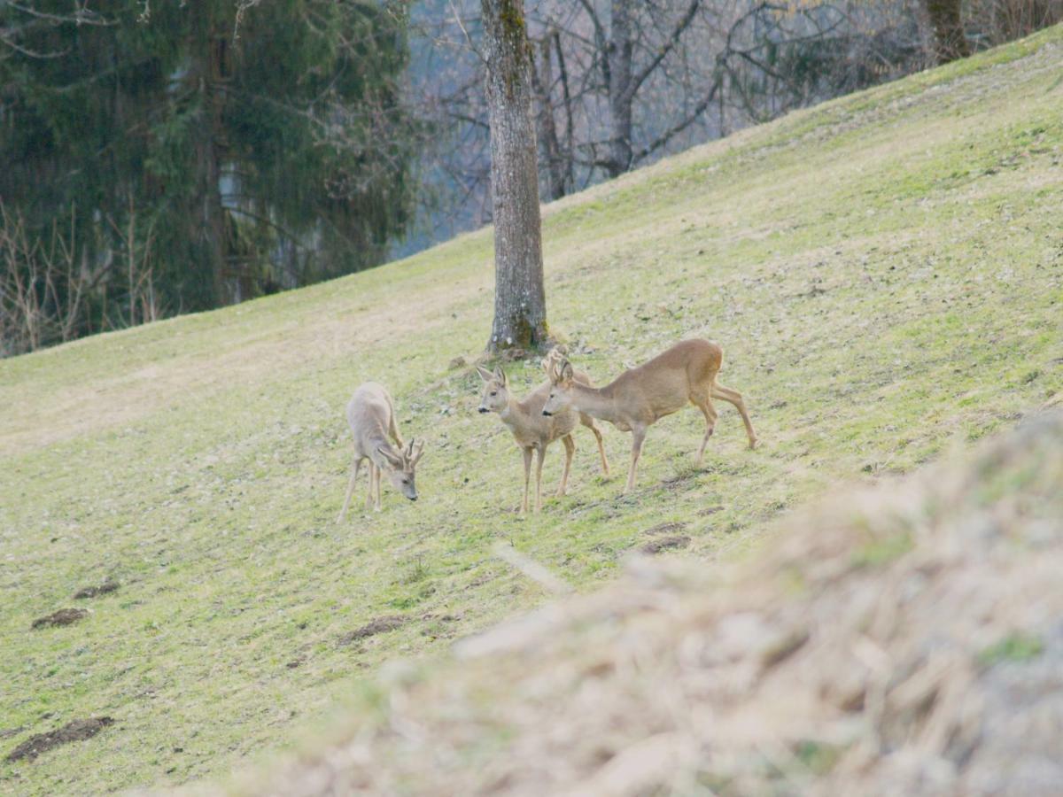 Appartamento Haus Gruener Wald Bartholomäberg Esterno foto